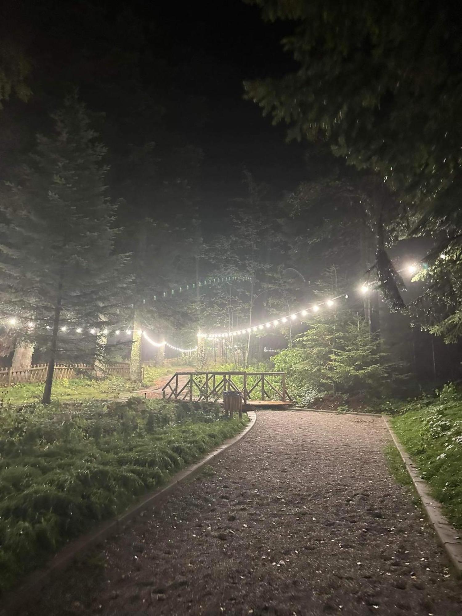 Cozy Riverside Pine E5 Borovets