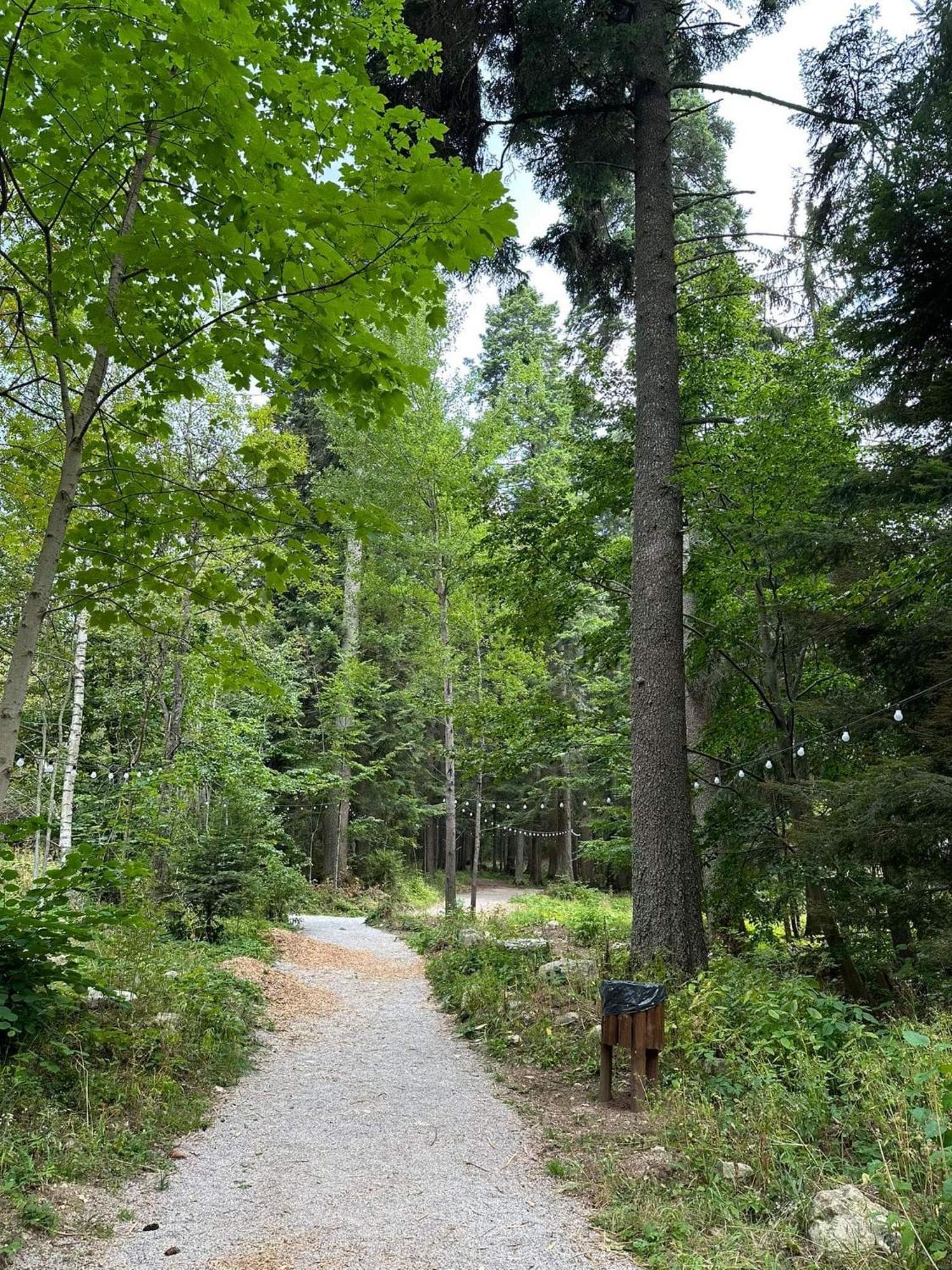 Cozy Riverside Pine E5 * Borovets